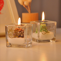 20ml 50ml 100ml 200ml customized glass candle holder